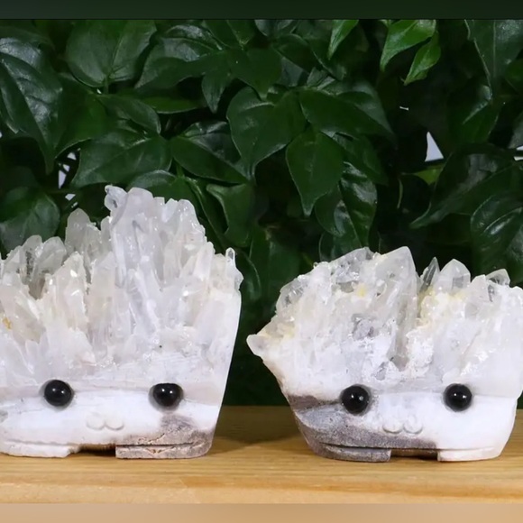 🧡🧡🧡Like this listing to be notified when I go live!🧡🧡🧡 - Picture 1 of 17